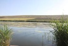 لبخند بر لبان نگین فیروزه‌ای ایران با جان گرفتن دریاچه ارومیه