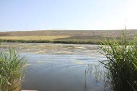 لبخند بر لبان نگین فیروزه‌ای ایران با جان گرفتن دریاچه ارومیه